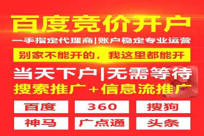 某品牌SEM推广代运营的实践与效果评估